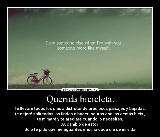 Querida bicicleta. - Te llevaré todos los días a disfrutar de preciosos paisajes y bajadas,
te dejaré salir todos los findes a hacer locuras con las demás bicis ,
te mimaré y te areglaré cuando lo necesites.
¿A cambio de esto? 
Solo te pido que me aguantes encima cada día de mi vida.