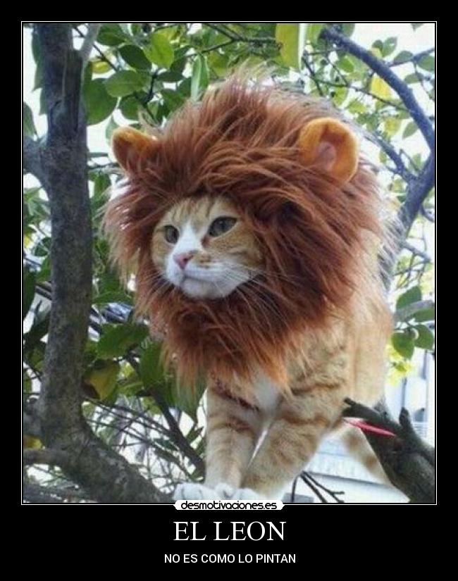 EL LEON - NO ES COMO LO PINTAN