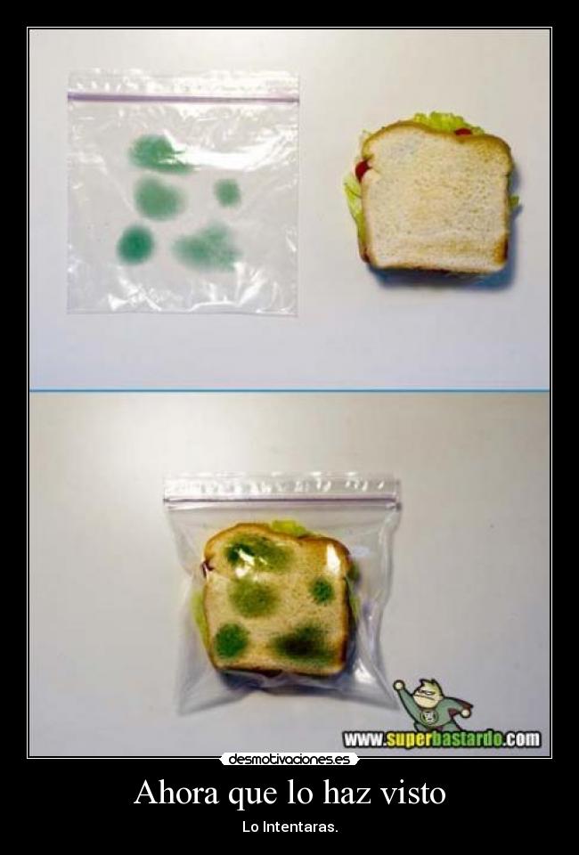 Ahora que lo haz visto - Lo Intentaras.