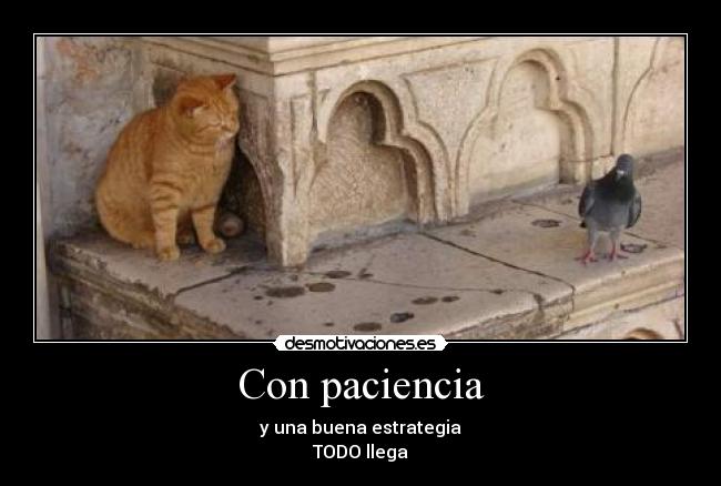 Con paciencia - y una buena estrategia
TODO llega