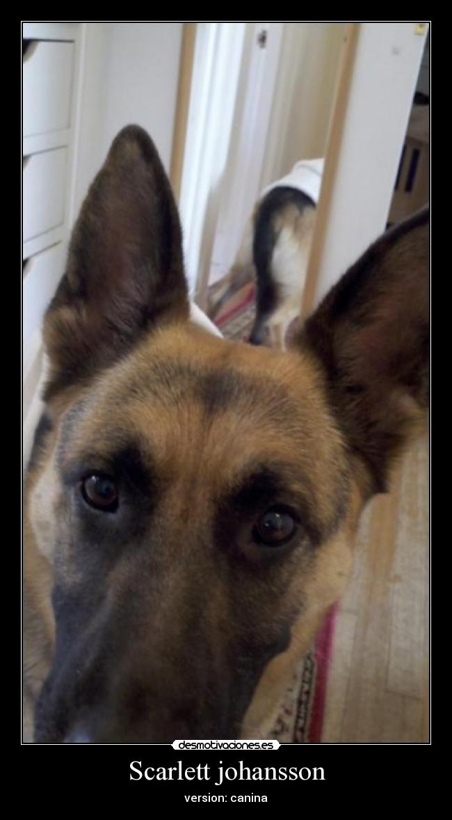 Scarlett johansson -