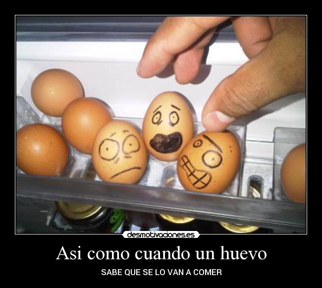 Asi como cuando un huevo - SABE QUE SE LO VAN A COMER