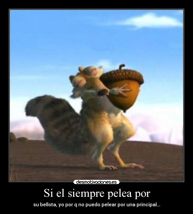 Si el siempre pelea por - 