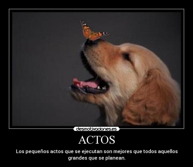 ACTOS - Los pequeños actos que se ejecutan son mejores que todos aquellos
grandes que se planean.