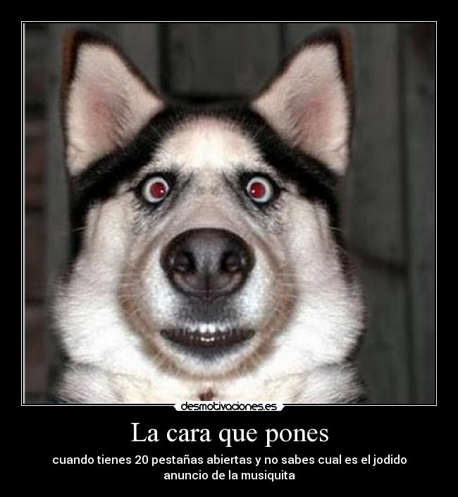 La cara que pones - cuando tienes 20 pestañas abiertas y no sabes cual es el jodido
anuncio de la musiquita