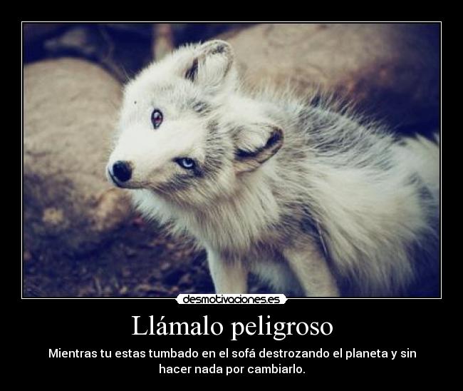 Llámalo peligroso - 