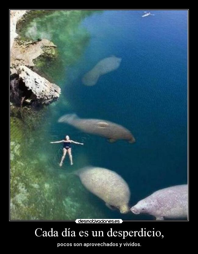 Cada día es un desperdicio, - pocos son aprovechados y vividos.