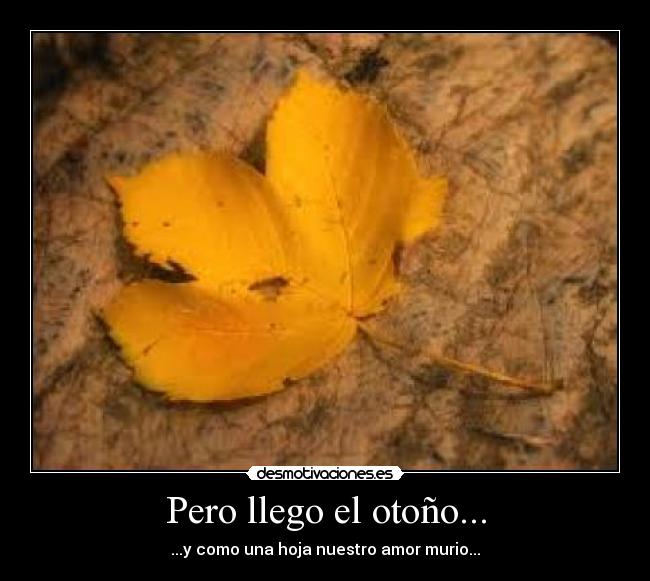 Pero llego el otoño... -