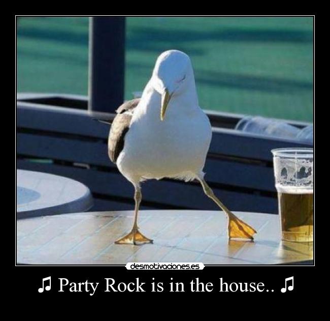 ♫ Party Rock is in the house.. ♫ -