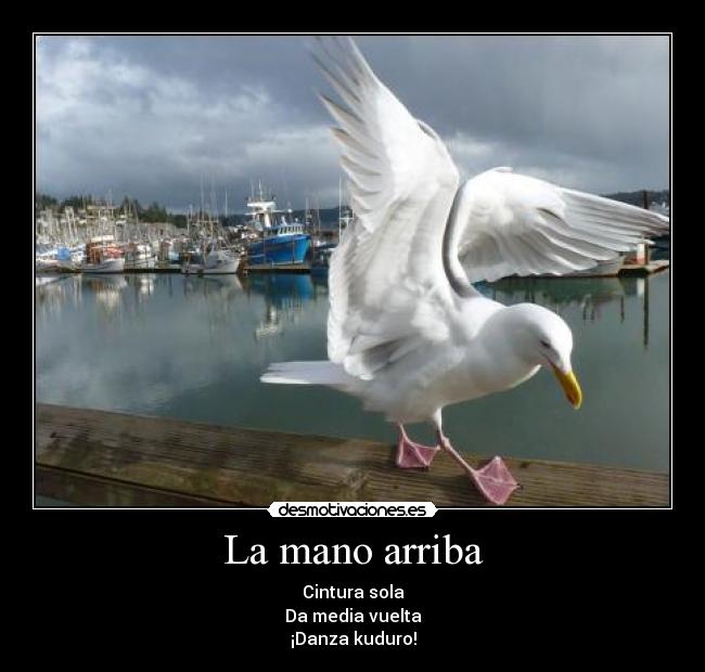 La mano arriba - Cintura sola
Da media vuelta
¡Danza kuduro!