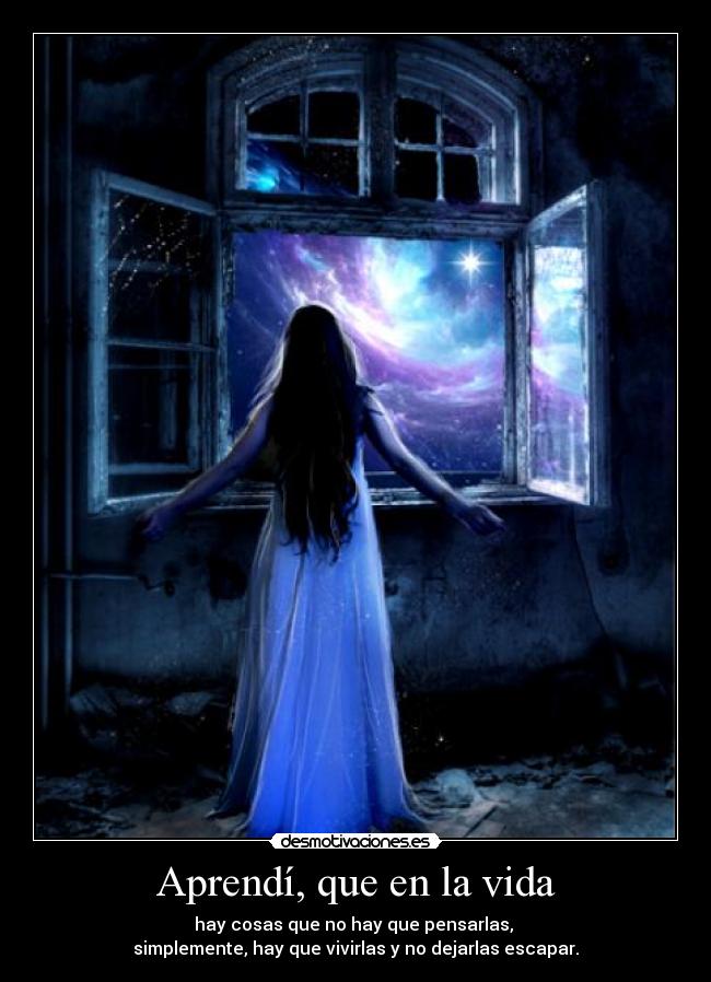 carteles vida vida desmotivaciones