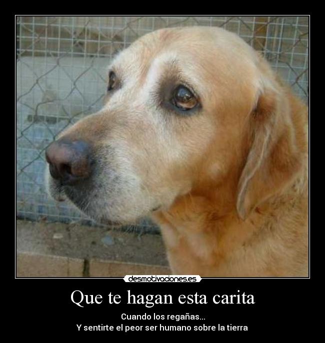 Que te hagan esta carita - Cuando los regañas...
Y sentirte el peor ser humano sobre la tierra