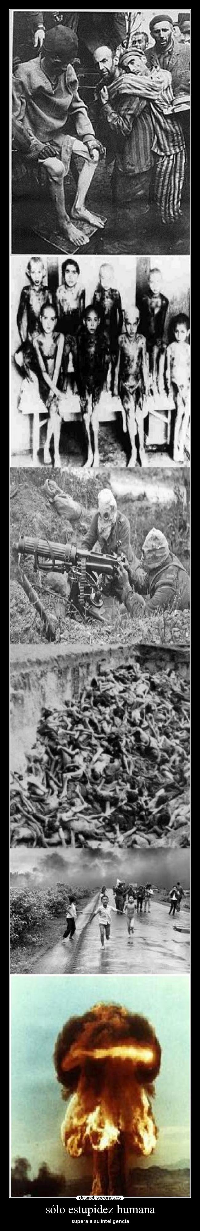 sólo estupidez humana - supera a su inteligencia