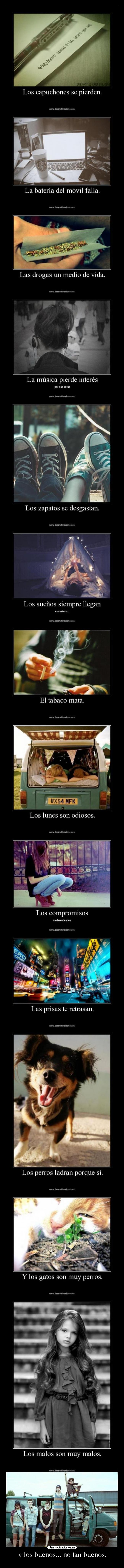 y los buenos... no tan buenos. - 