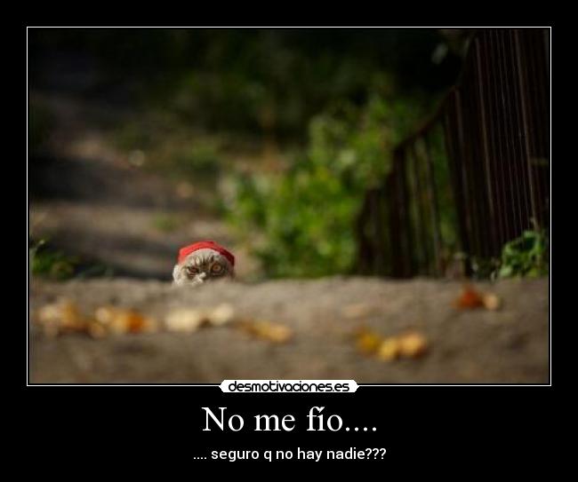 No me fío.... - .... seguro q no hay nadie???