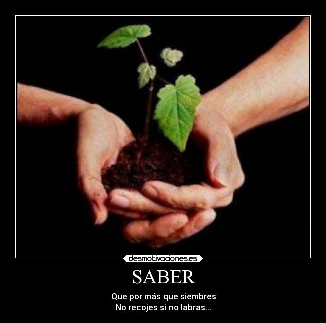 SABER - Que por más que siembres
No recojes si no labras...