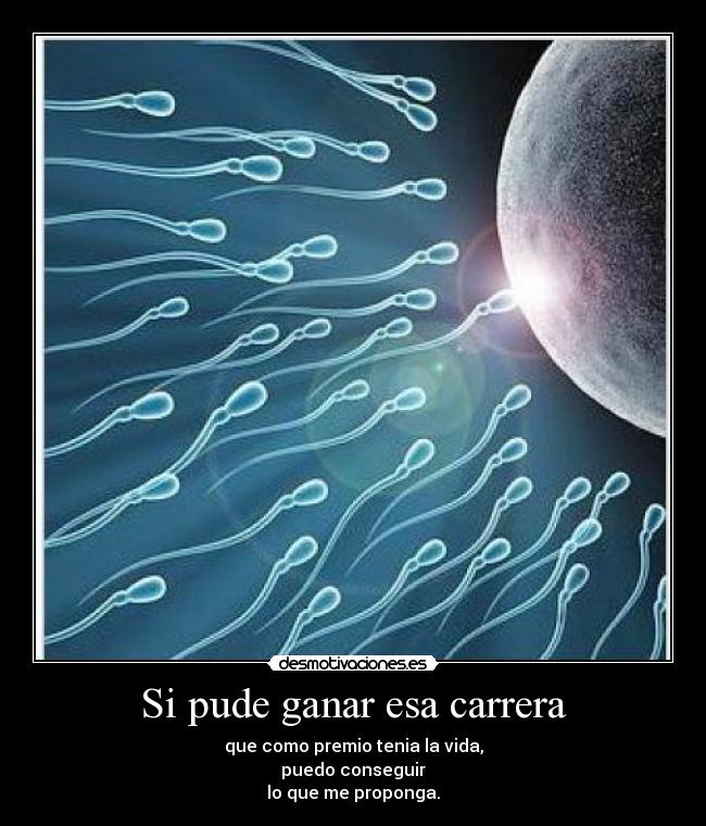 Si pude ganar esa carrera - que como premio tenia la vida,
puedo conseguir
lo que me proponga.
