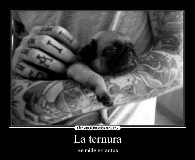 La ternura - Se mide en actos