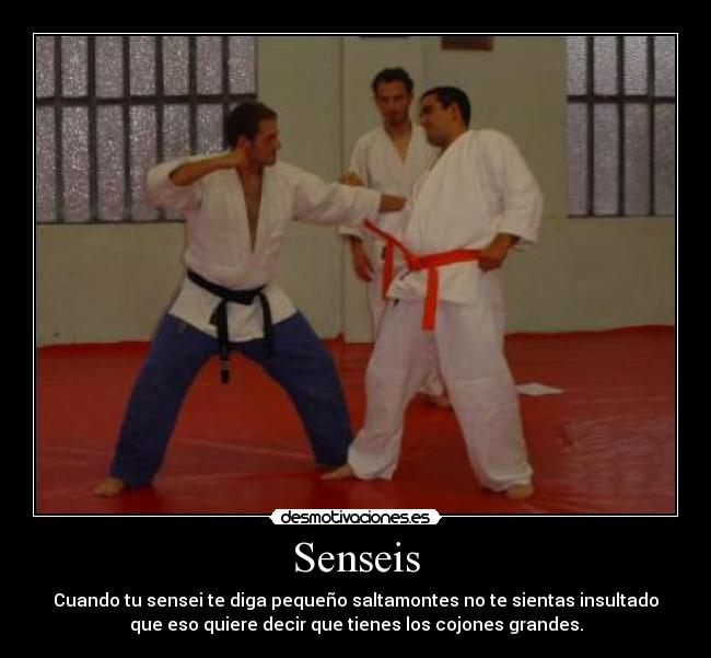 Senseis - Cuando tu sensei te diga pequeño saltamontes no te sientas insultado
que eso quiere decir que tienes los cojones grandes.