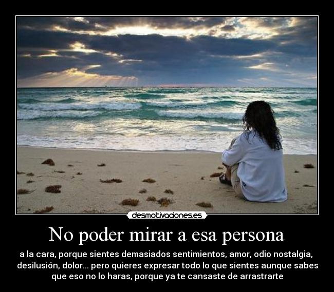 carteles desamor desmotivaciones