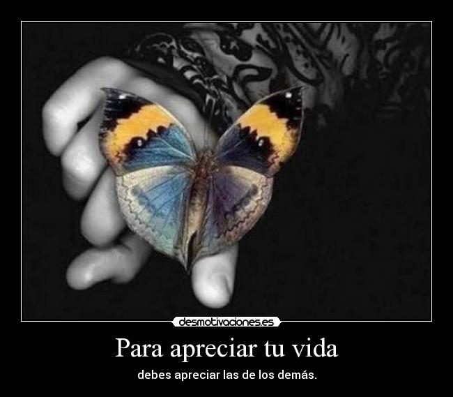 Para apreciar tu vida - debes apreciar las de los demás.