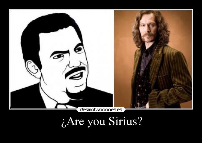 ¿Are you Sirius? -