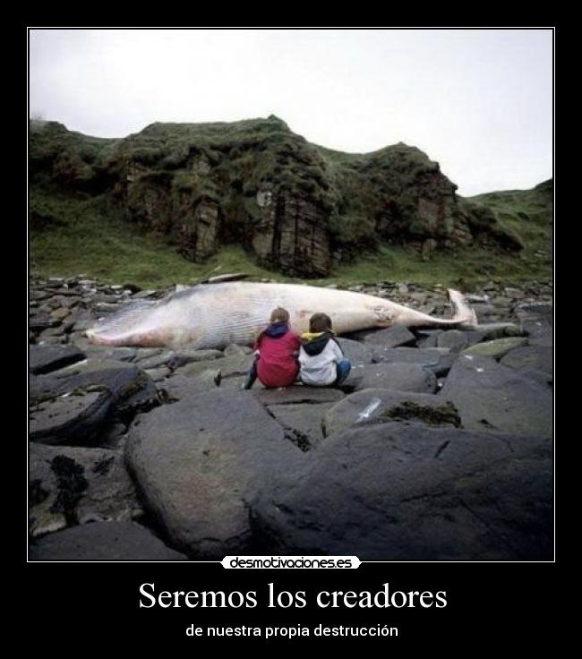 Seremos los creadores - 