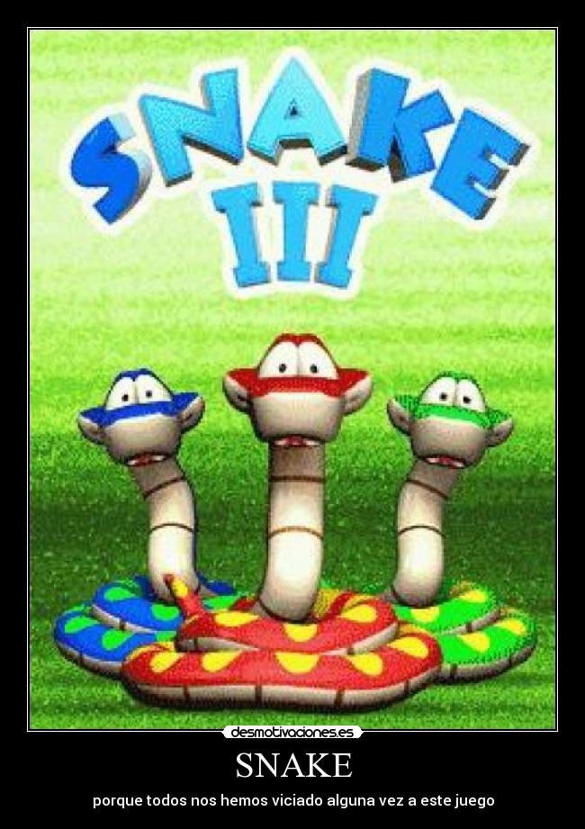 SNAKE - 