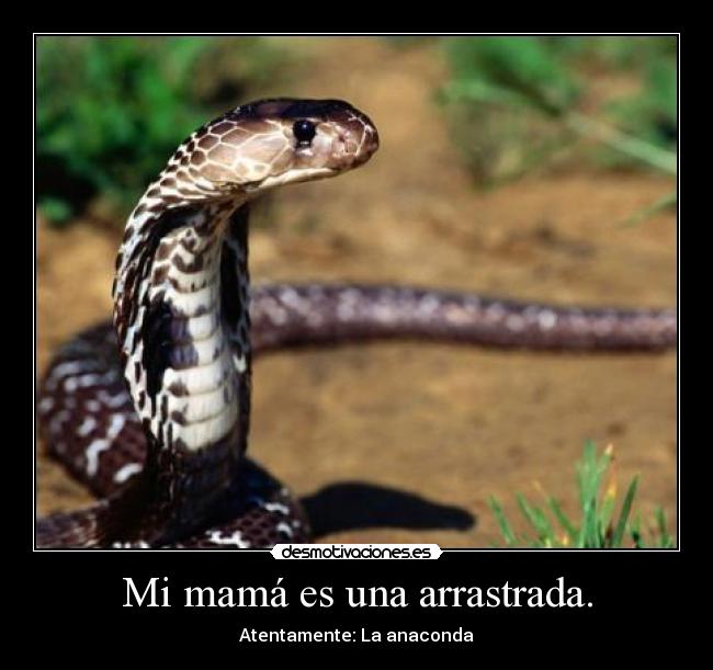 Mi mamá es una arrastrada. -