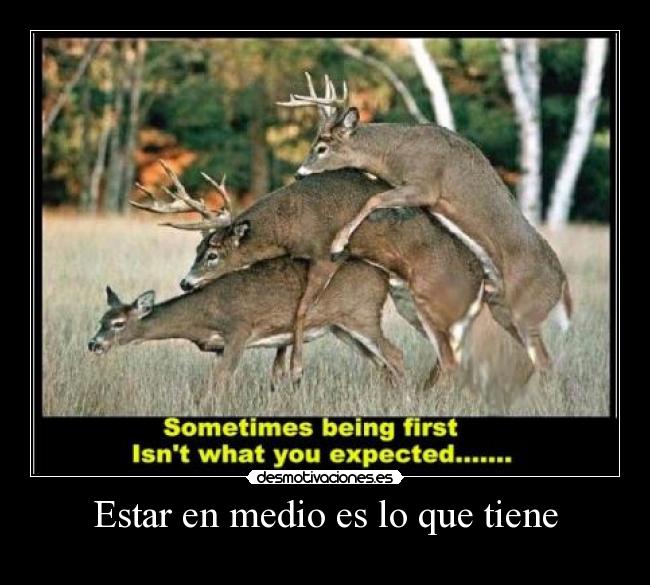 Estar en medio es lo que tiene -