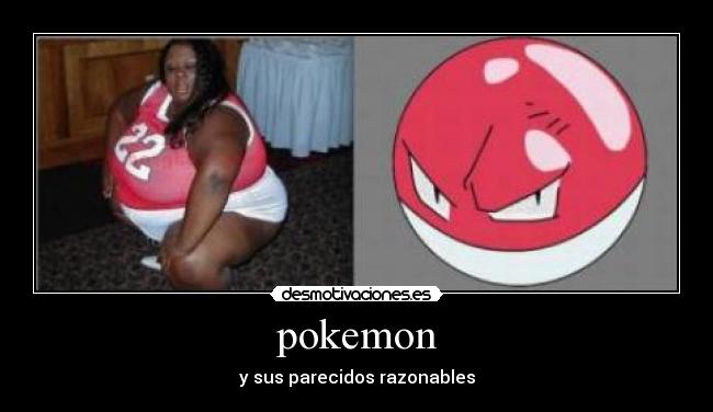 pokemon - y sus parecidos razonables