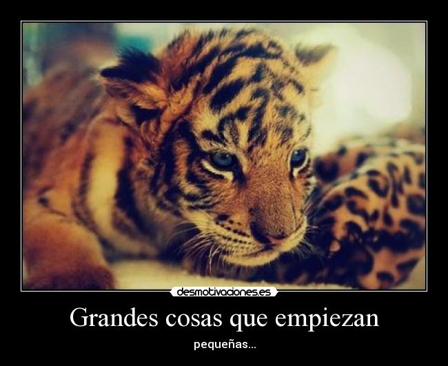 Grandes cosas que empiezan - pequeñas...