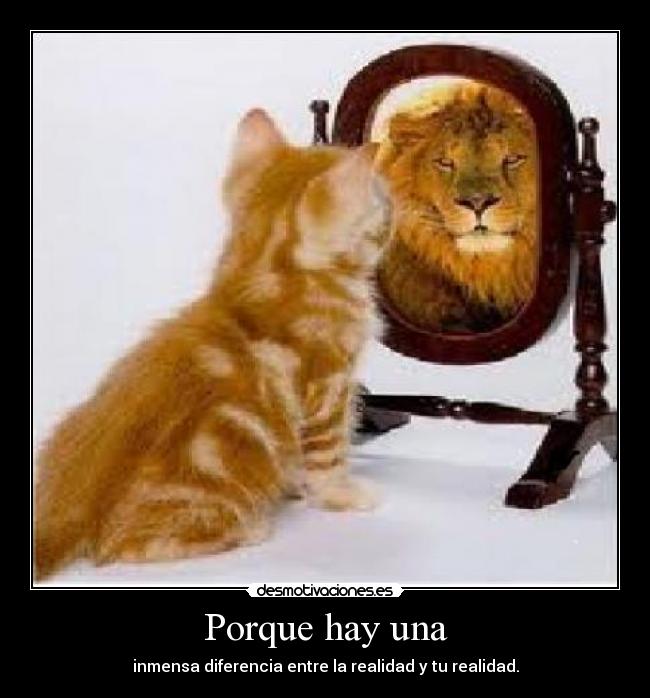 carteles desmotivaciones