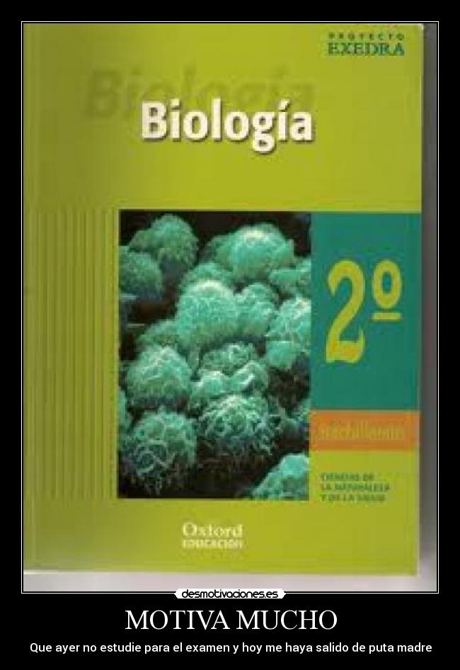 MOTIVA MUCHO - Que ayer no estudie para el examen y hoy me haya salido de puta madre