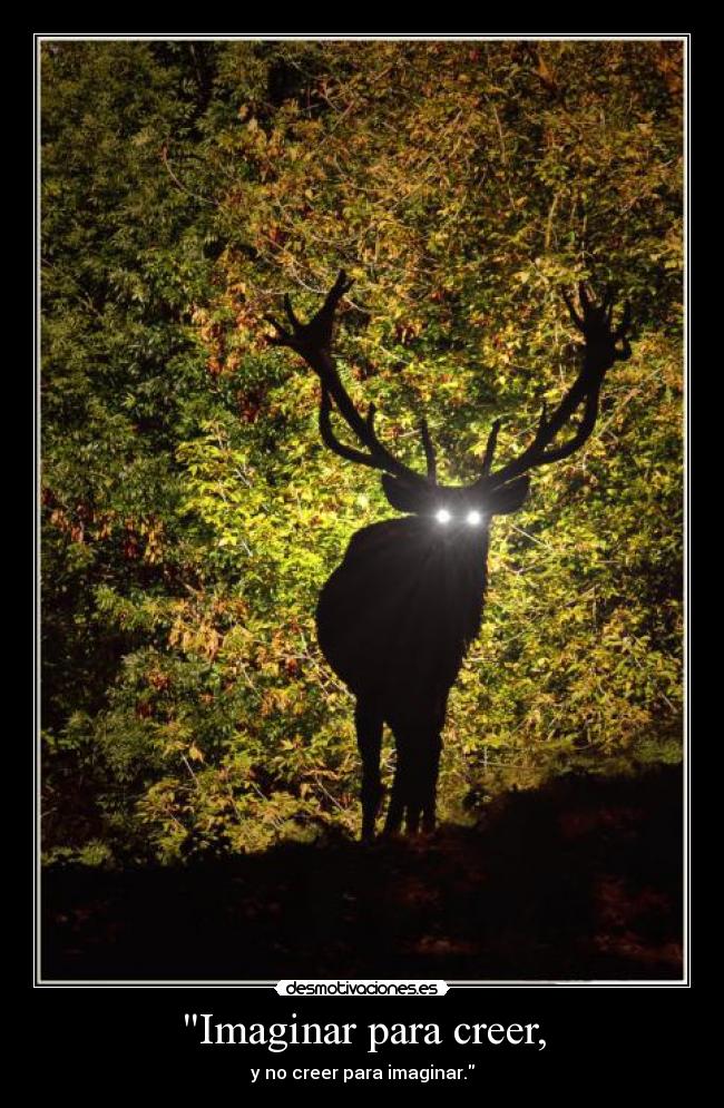 Imaginar para creer, -