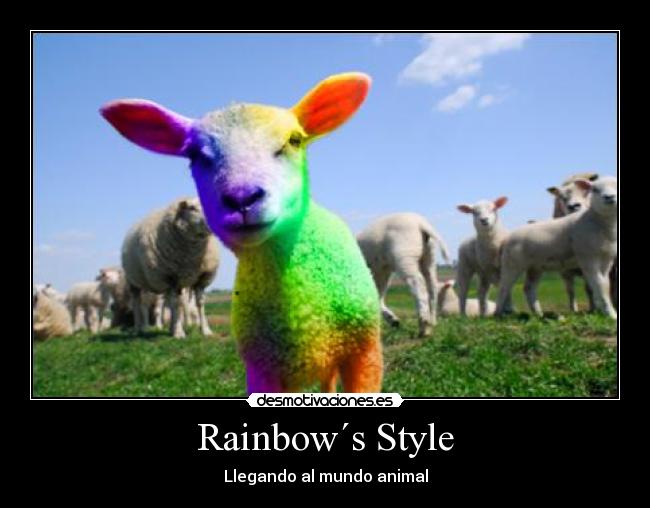 Rainbow´s Style - Llegando al mundo animal