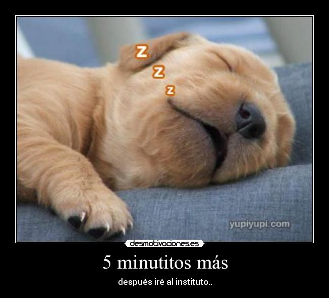 5 minutitos más - después iré al instituto..