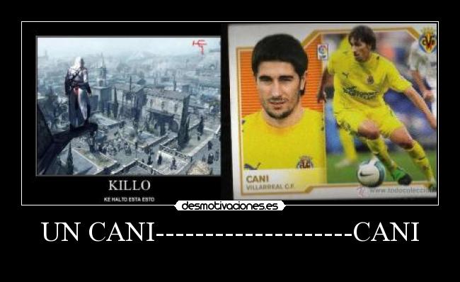 UN CANI--------------------CANI -