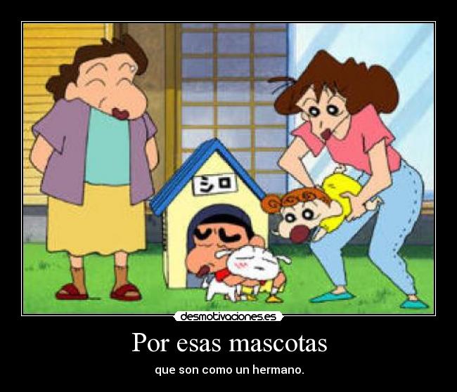 Por esas mascotas -