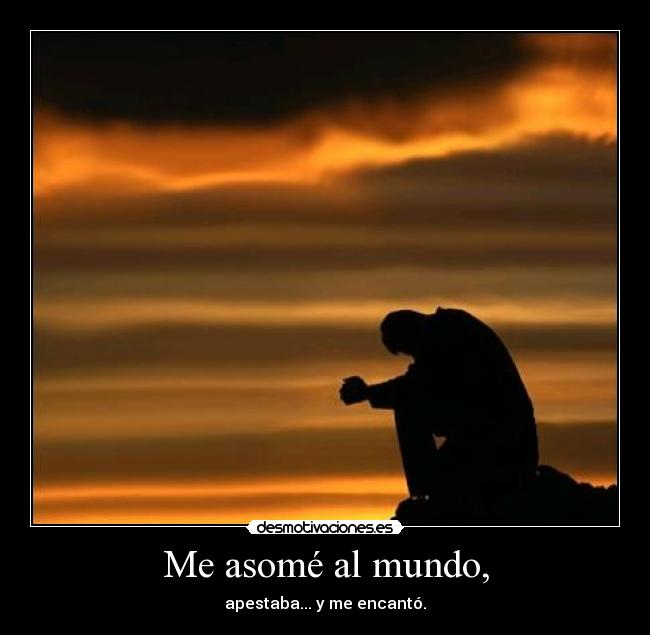 carteles mundo lol desmotivaciones