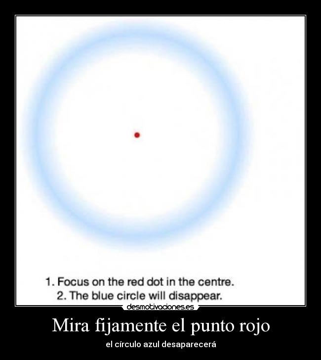 Mira fijamente el punto rojo - el círculo azul desaparecerá