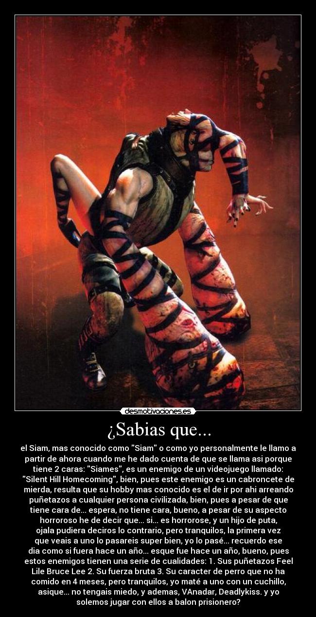 ¿Sabias que... - 