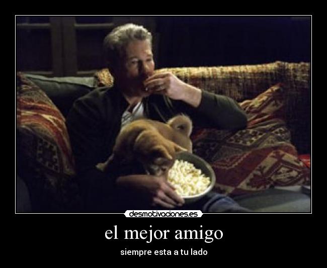 el mejor amigo - siempre esta a tu lado
