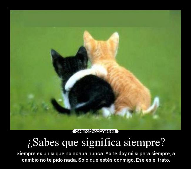 ¿Sabes que significa siempre? - 