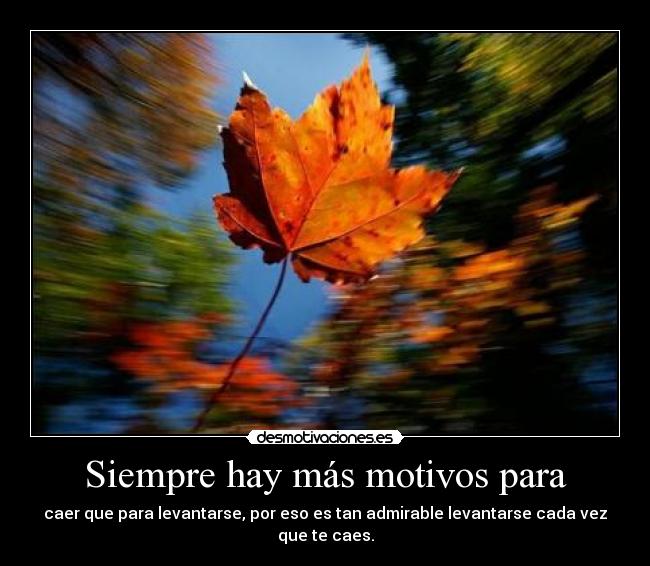 Siempre hay más motivos para - caer que para levantarse, por eso es tan admirable levantarse cada vez que te caes.