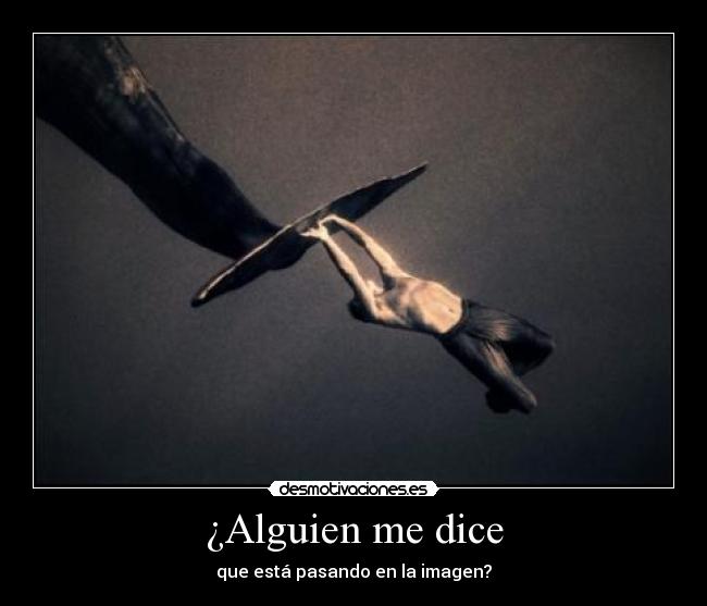 ¿Alguien me dice - 