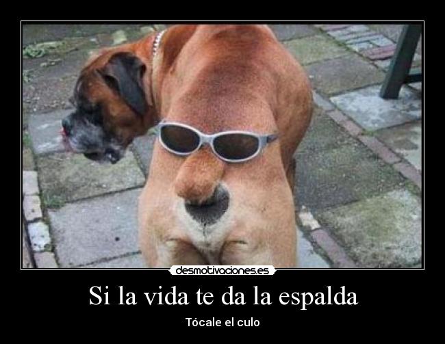 Si la vida te da la espalda - Tócale el culo