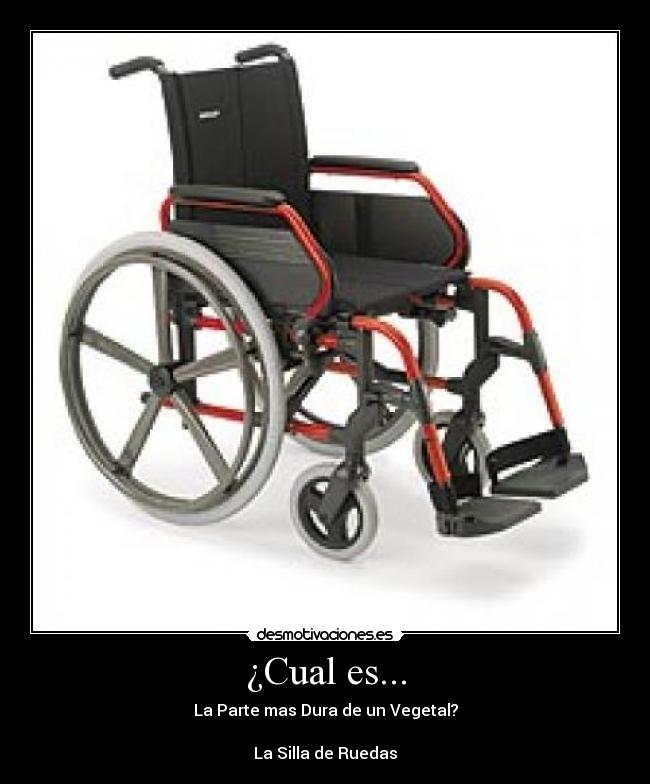 ¿Cual es... - 