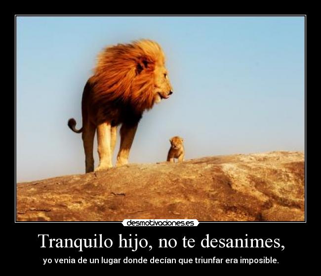Tranquilo hijo, no te desanimes, - yo venia de un lugar donde decían que triunfar era imposible.