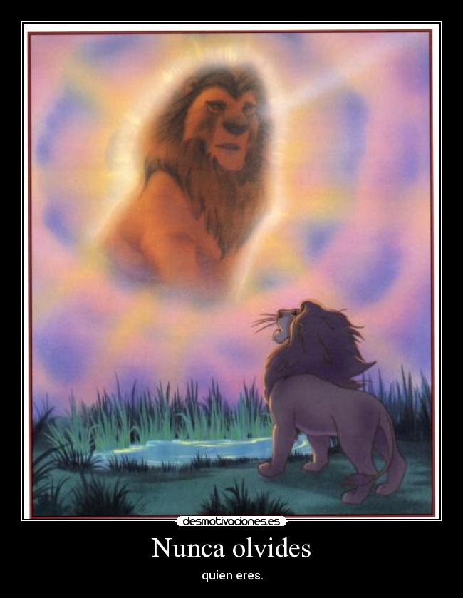 Nunca olvides - 